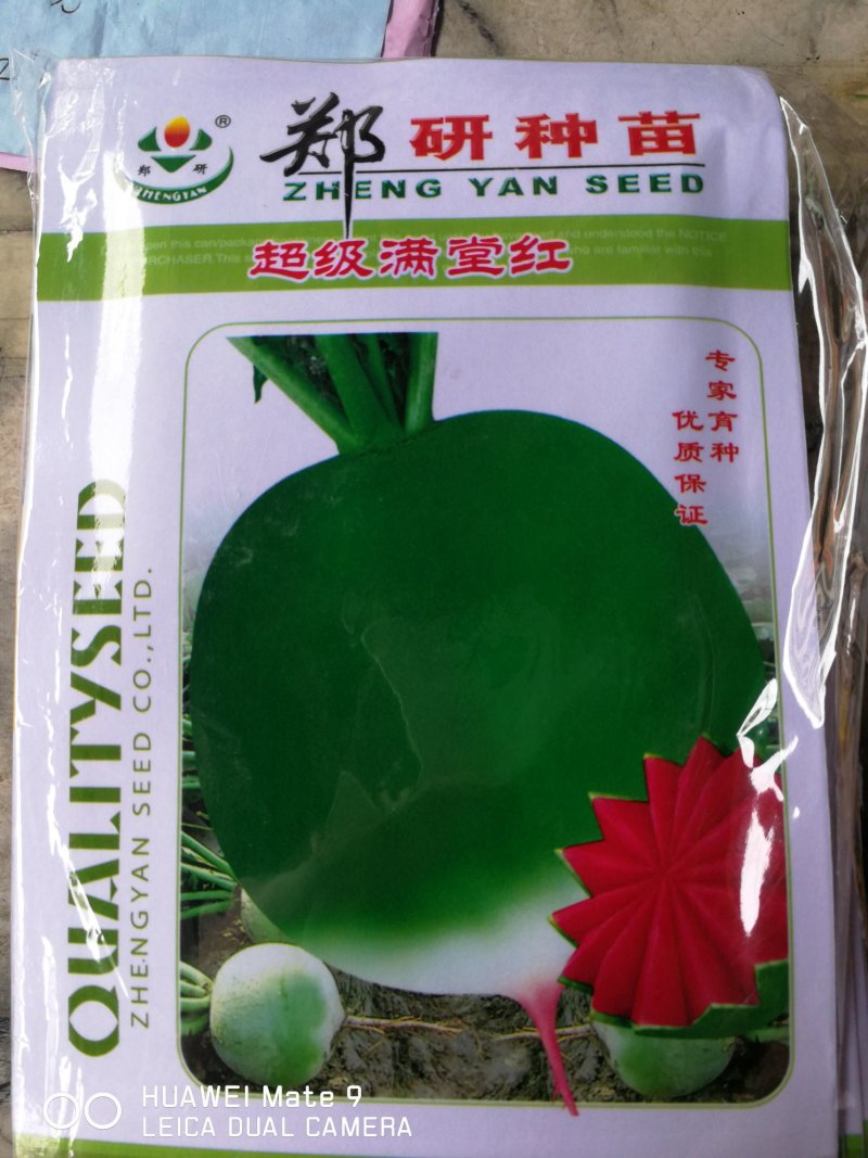 满堂红萝卜耐热湿，生长迅速长势整齐肉质鲜红甜脆风味浓。