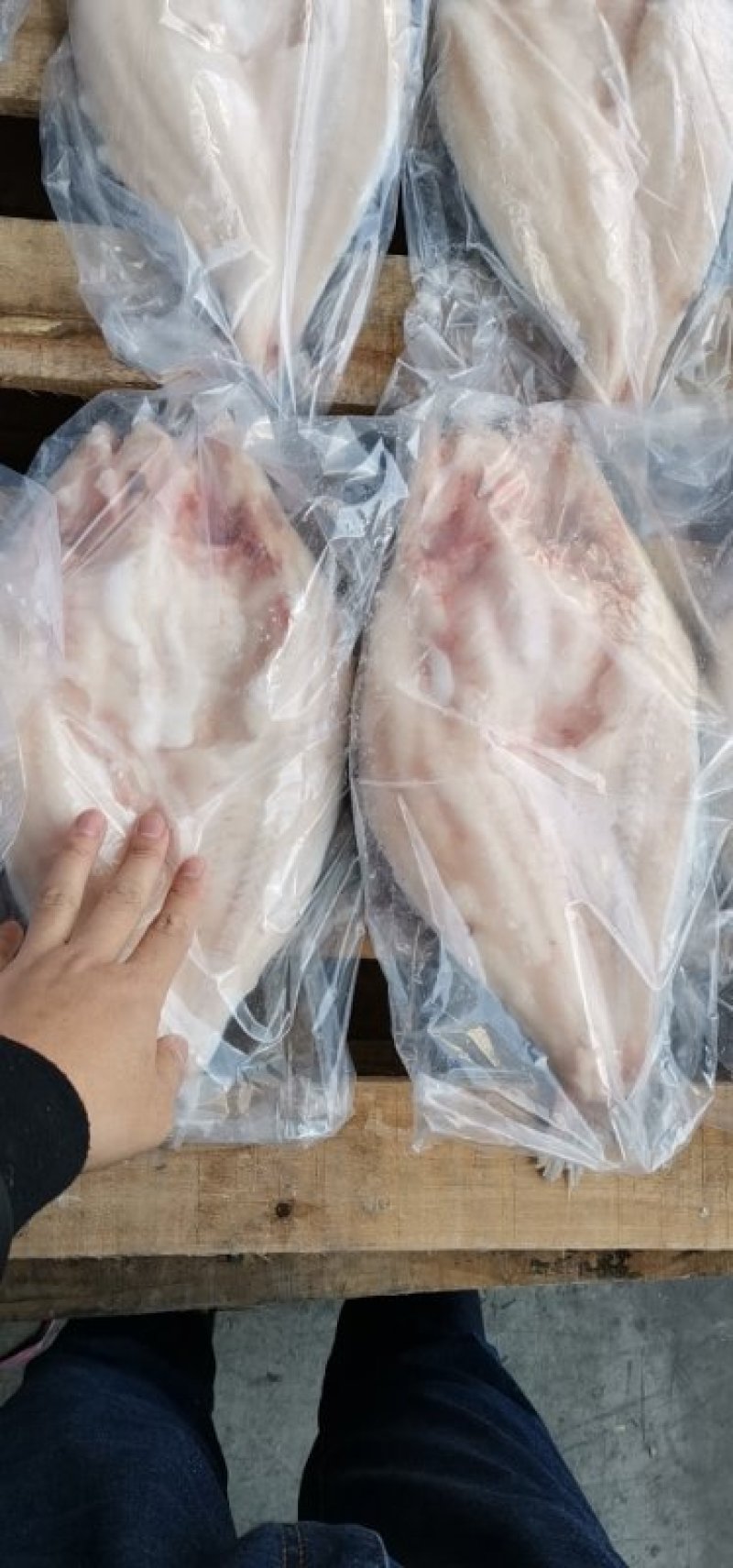 源晟泰品牌开背巴沙鱼，正关带票越南DL478工厂生产