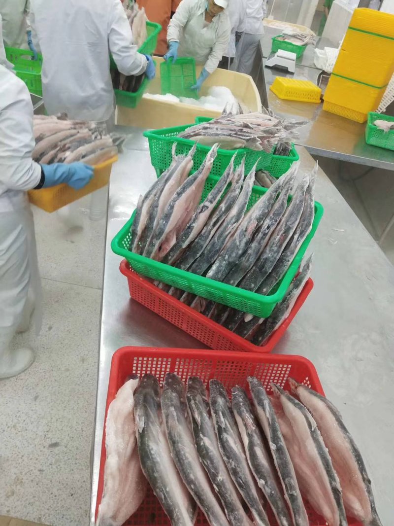 源晟泰品牌开背巴沙鱼，正关带票越南DL478工厂生产