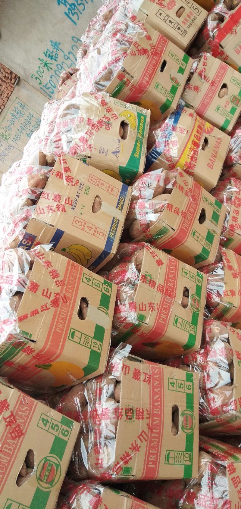 红皮红心:红苏八(小花叶)西瓜红，303.脆甜。