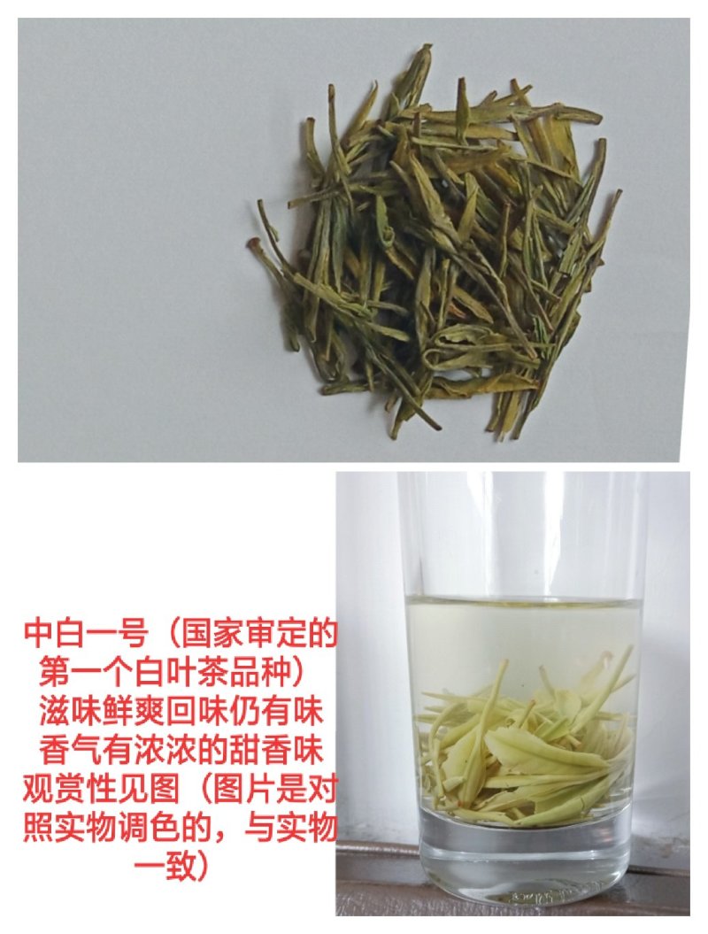 特色茶叶