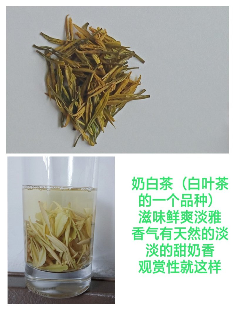 特色茶叶