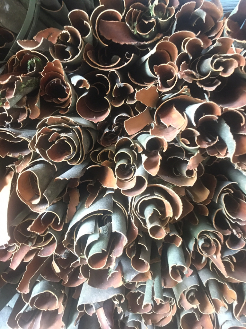 桂皮产地直销批发零售货量大产品优质服务优质