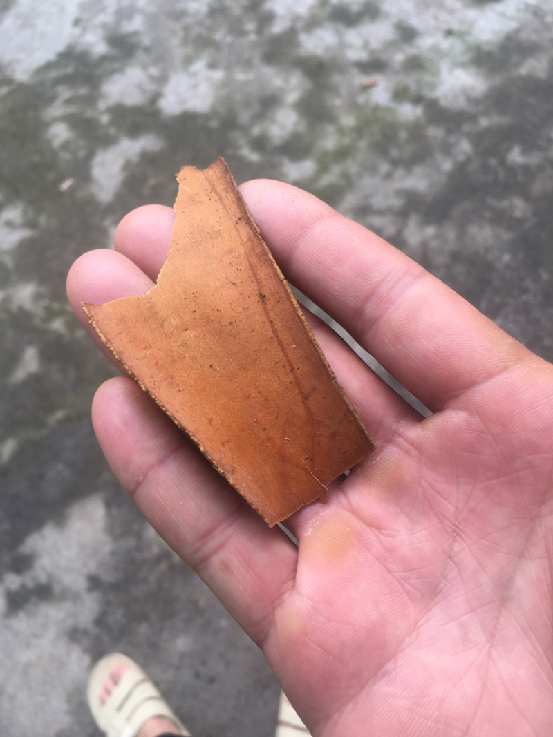 桂皮产地直销批发零售货量大产品优质服务优质