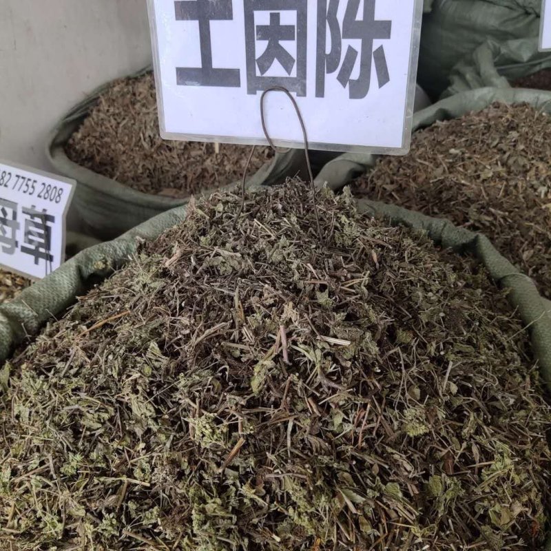 土茵陈（牛至）纯野生，一斤起售，量大优惠