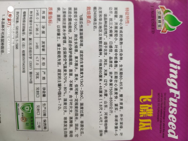 飞碟瓜种子蝶形瓜玩具迷你小南瓜种籽黄白飞碟瓜种子