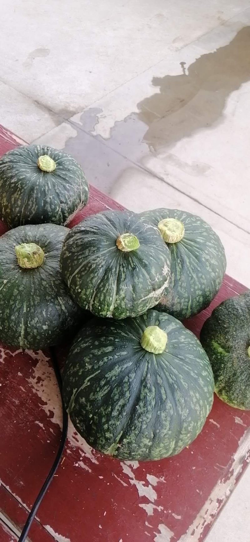 板栗南瓜，口感好，干，面，甜。质量好……