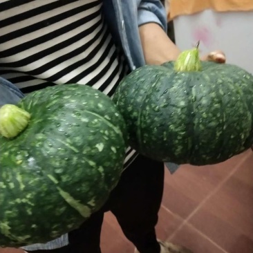 板栗南瓜