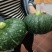 板栗南瓜