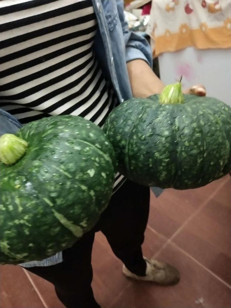板栗南瓜