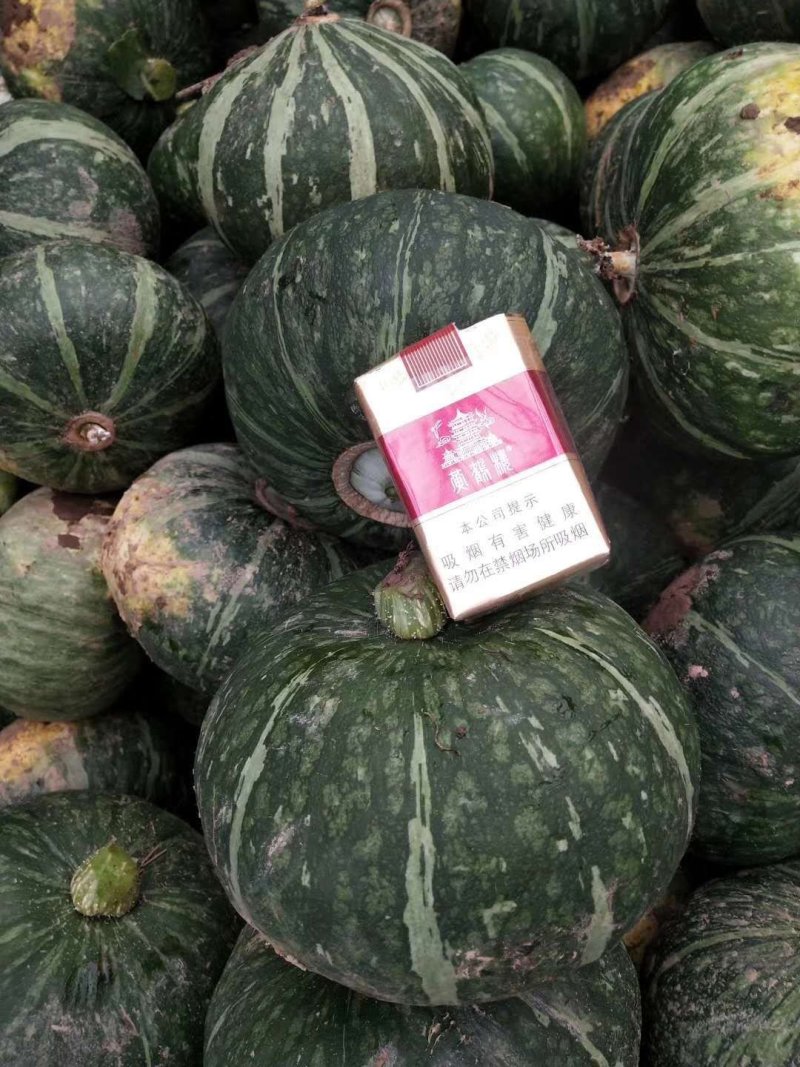 板栗南瓜