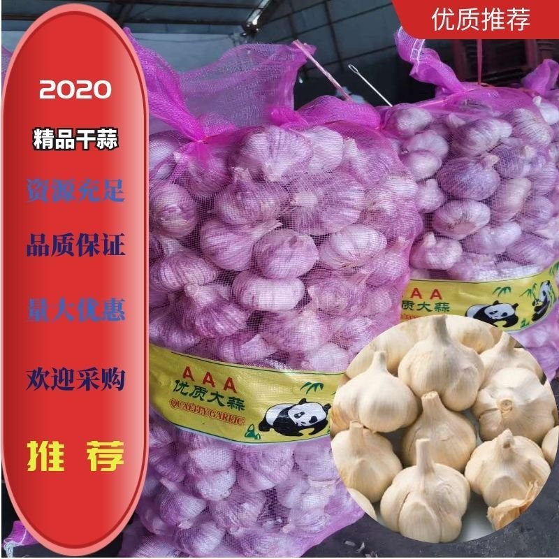 金乡大蒜，专注电商，超市，量大从优一手货源