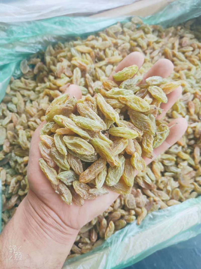 （包邮）特大颗粒，特级绿香妃，红香妃，黄香妃，等你们下