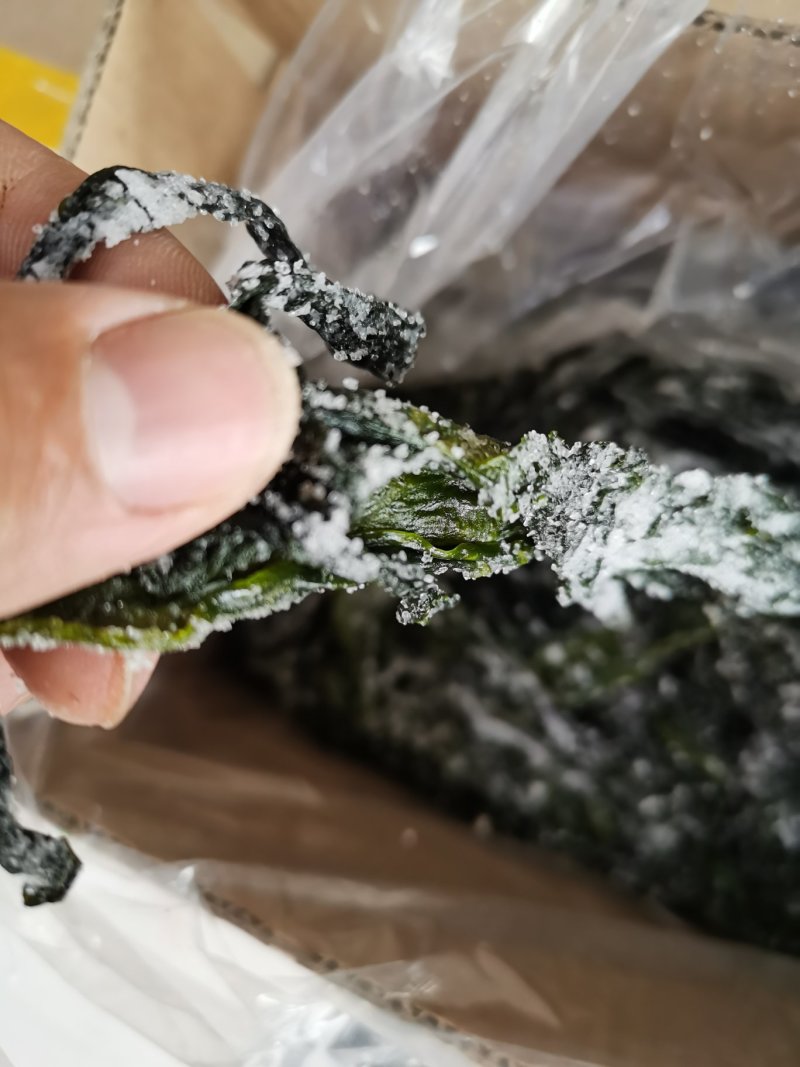 包邮盐渍裙带菜凉拌菜可泡发嫩海带叶裙带菜