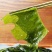 包邮盐渍裙带菜凉拌菜可泡发嫩海带叶裙带菜