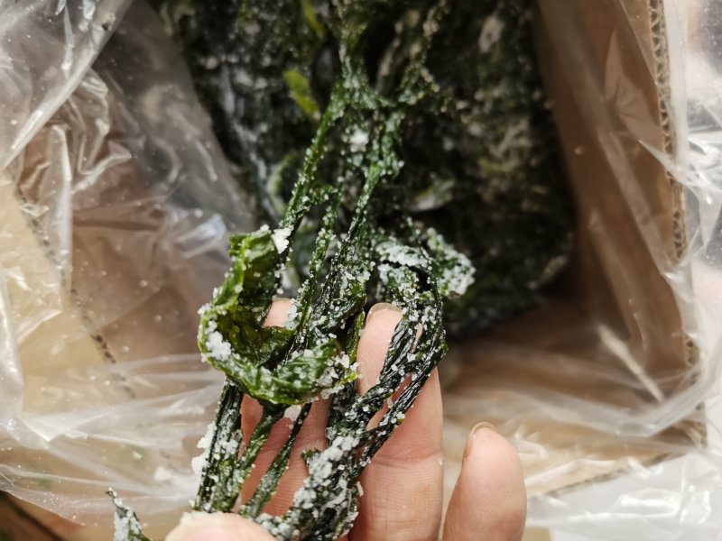 包邮盐渍裙带菜凉拌菜可泡发嫩海带叶裙带菜