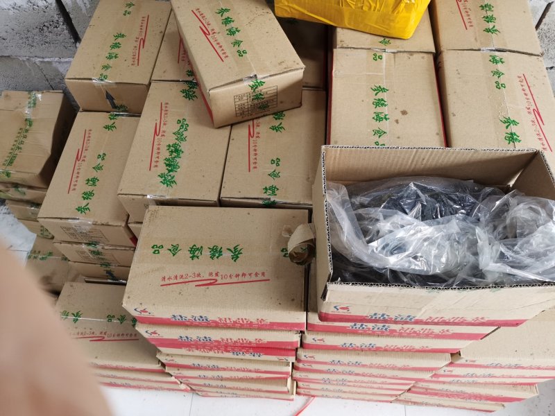 包邮盐渍裙带菜凉拌菜可泡发嫩海带叶裙带菜