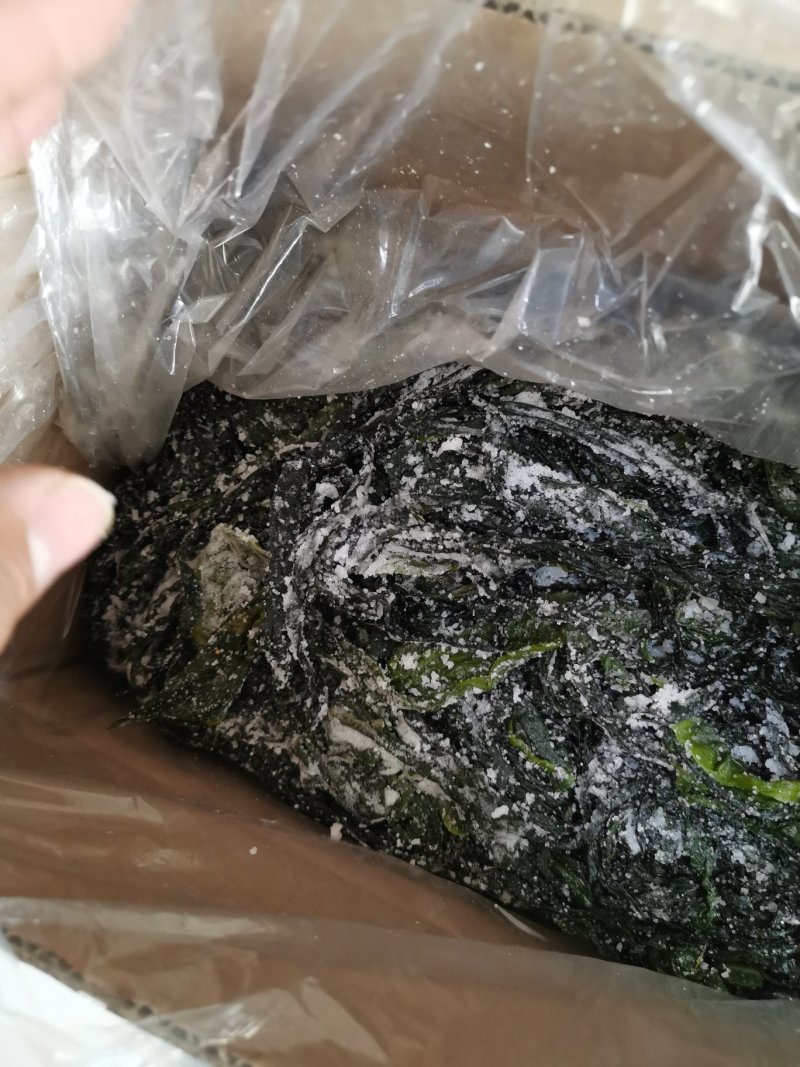 包邮盐渍裙带菜凉拌菜可泡发嫩海带叶裙带菜