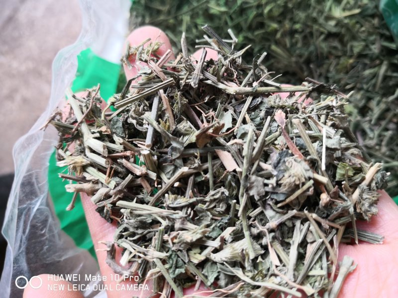 九子连还草量大从优2斤起批经营各种中药材