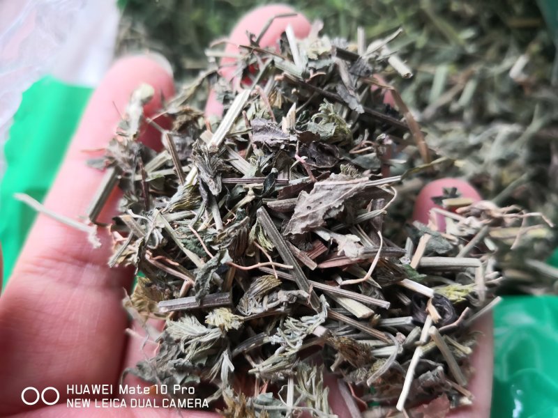九子连还草量大从优2斤起批经营各种中药材