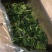 小兴安岭速冻山野菜（速冻）