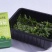小兴安岭速冻山野菜（速冻）