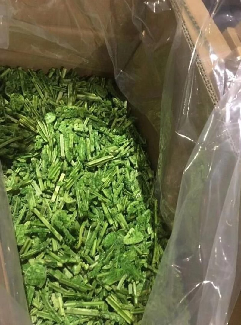 小兴安岭速冻山野菜（速冻）