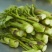 工厂速冻东北山野菜、速冻玉米（速冻）