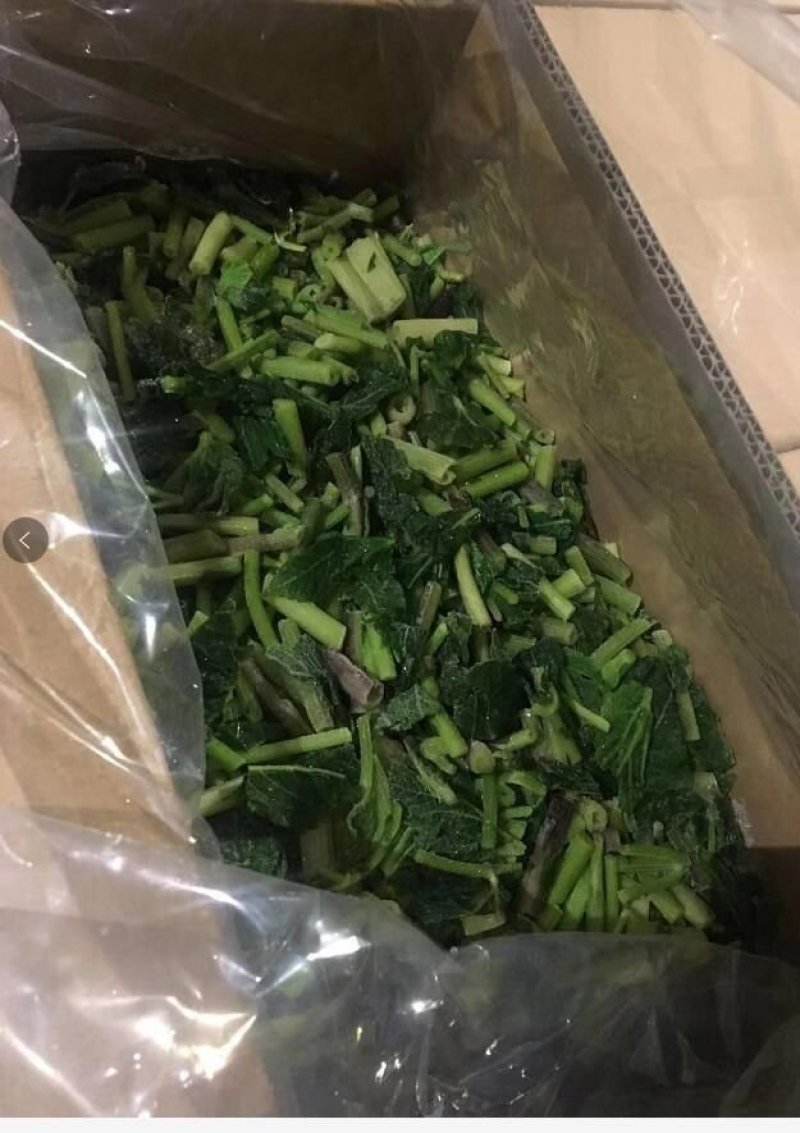 工厂速冻东北山野菜、速冻玉米（速冻）