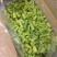 工厂速冻东北山野菜、速冻玉米（速冻）
