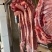 多肉羊蝎子厂家直销！