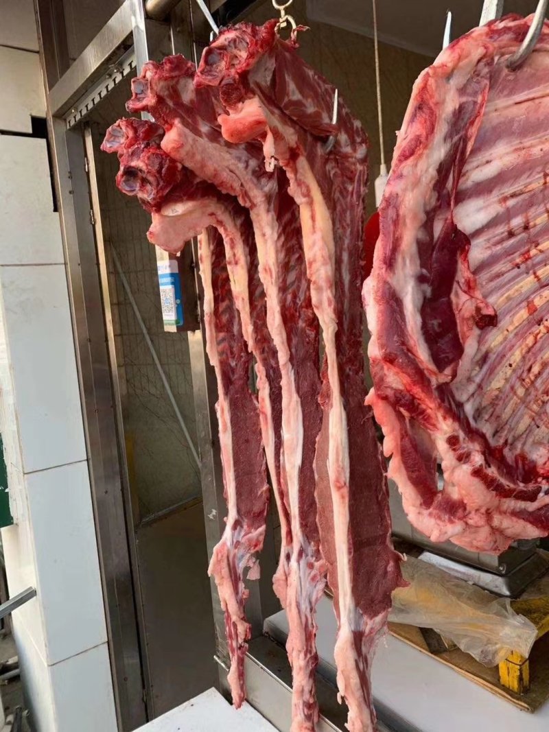 多肉羊蝎子厂家直销！