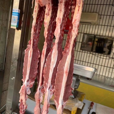 多肉羊蝎子厂家直销！