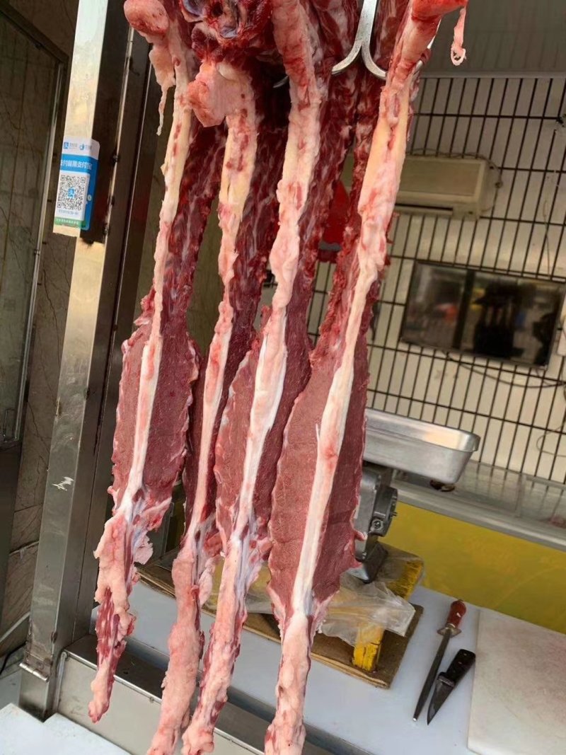 多肉羊蝎子厂家直销！