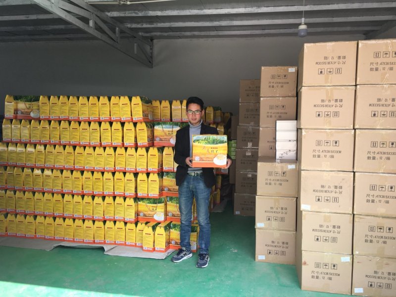 燕麦珍子礼盒装批发