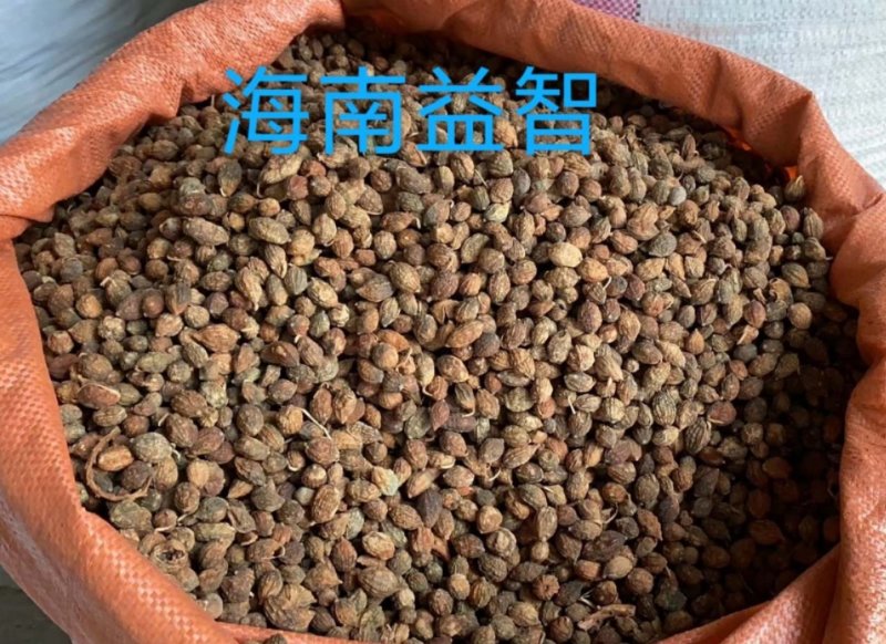 海南益智仁