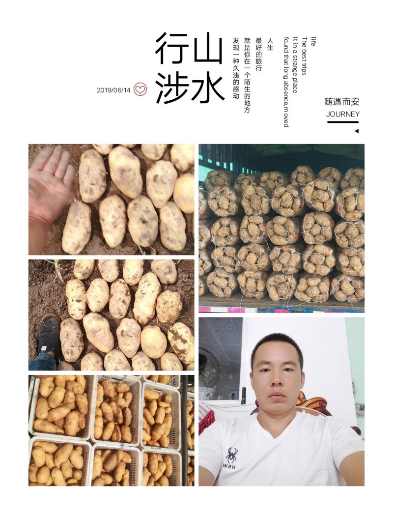 山西吕梁文水精品土豆实验一，沃土，电商，超市，大量供应，