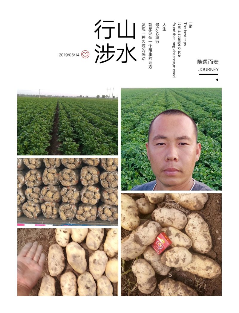 山西吕梁文水精品土豆实验一，沃土，电商，超市，大量供应，