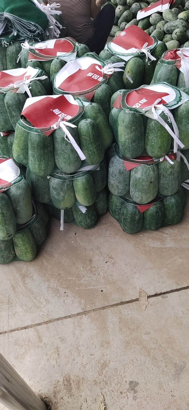 精品一串铃冬瓜上市中.产地直供.一手货源