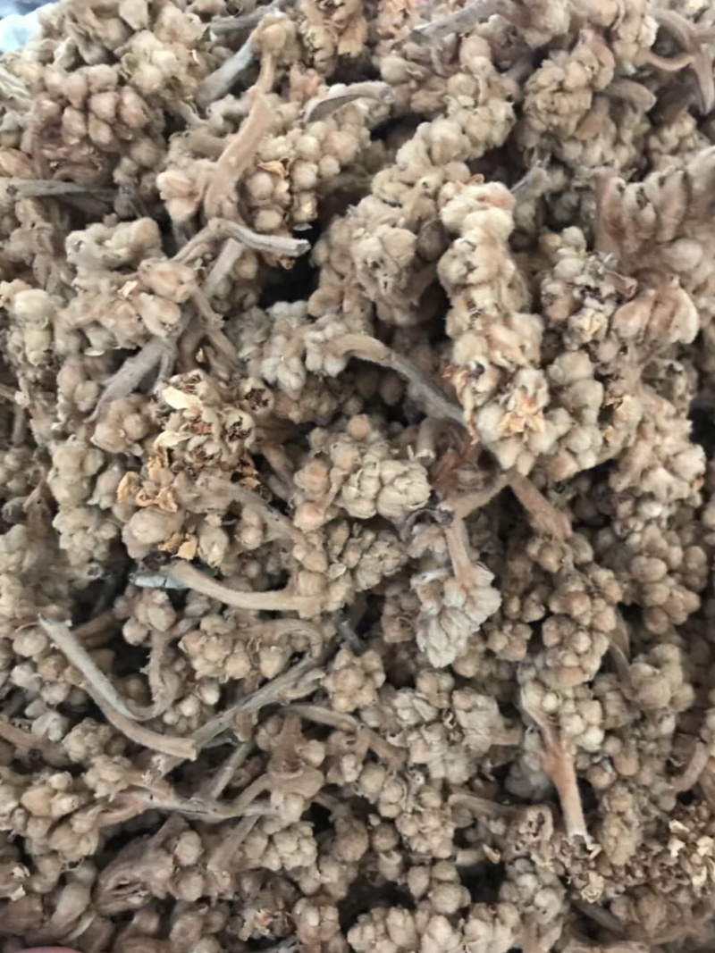 枇杷花茶【包邮】三斤起发货可批量可零售量大从优