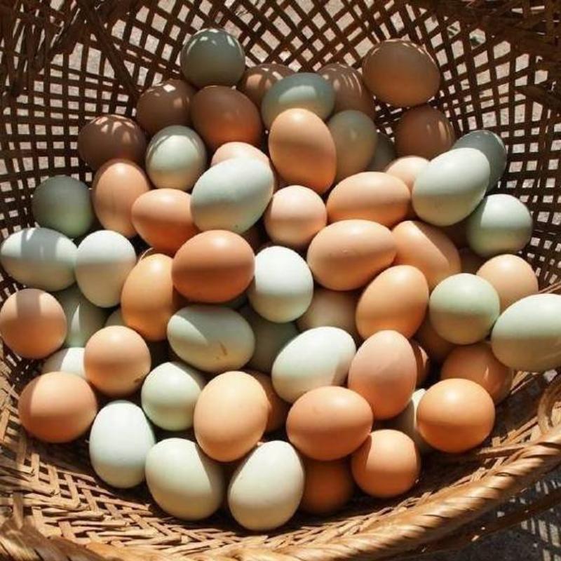 农家土鸡蛋，每天现捡现发，一件代发微商，坏果包赔
