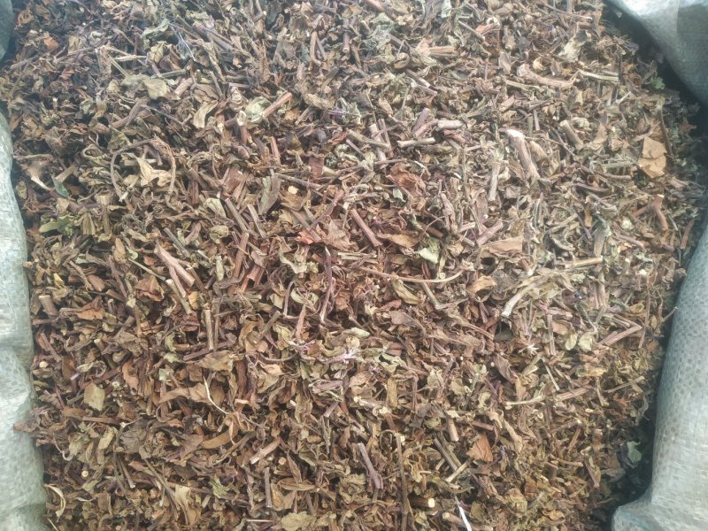 鱼腥草～新货～～切好的18～扎把20~量大优惠～