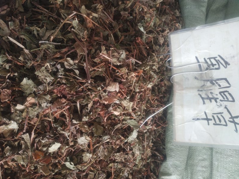 鱼腥草～新货～～切好的18～扎把20~量大优惠～