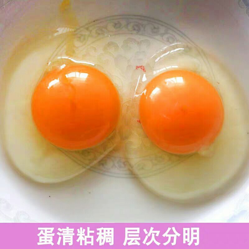 新鲜农家放养乌鸡蛋农家蛋绿壳鸡蛋30枚包邮