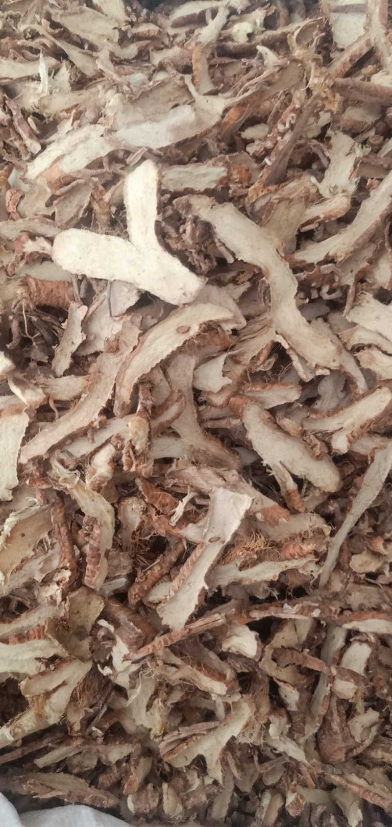 知母片无硫各种规格中药材知母肉毛知母知母片山知母连母