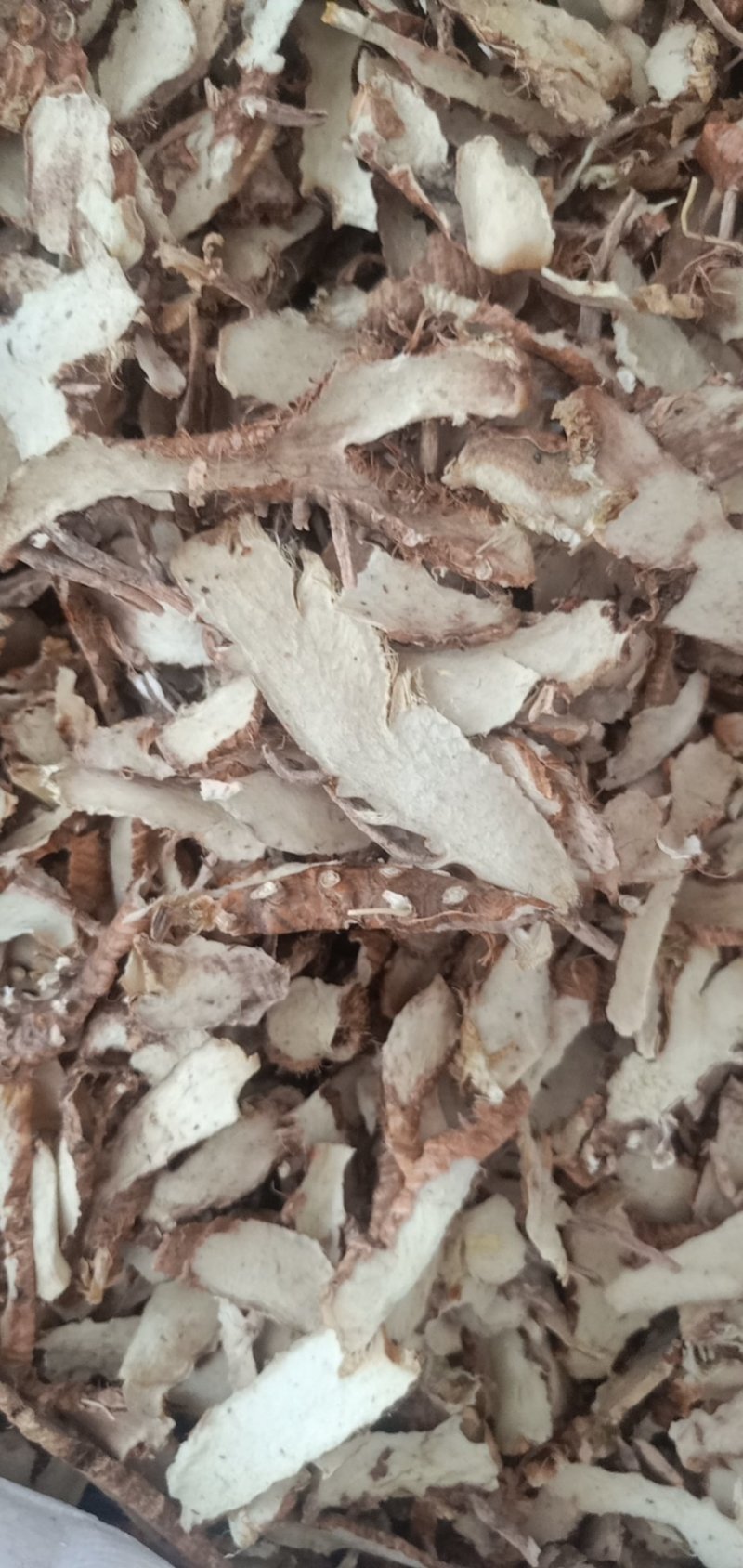 知母片无硫各种规格中药材知母肉毛知母知母片山知母连母