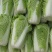 『精品』秋宝黄心白菜大白菜秋宝白菜个头大供货足