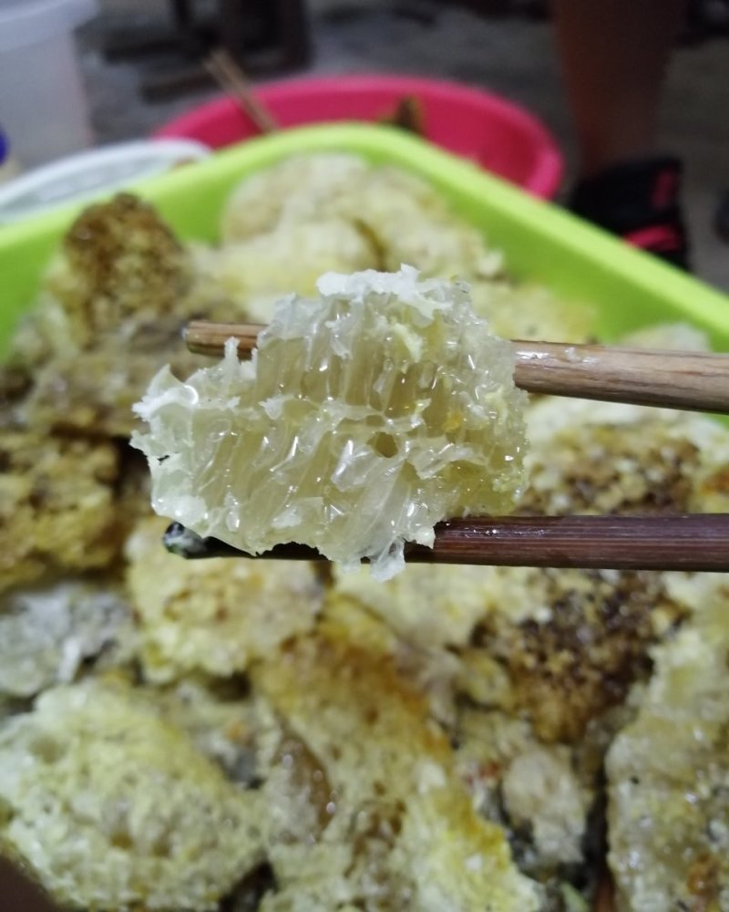 热销云南文山深山老林土蜂蜜