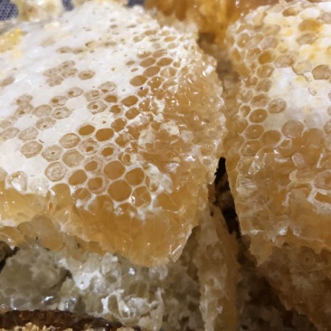 热销云南文山深山老林土蜂蜜
