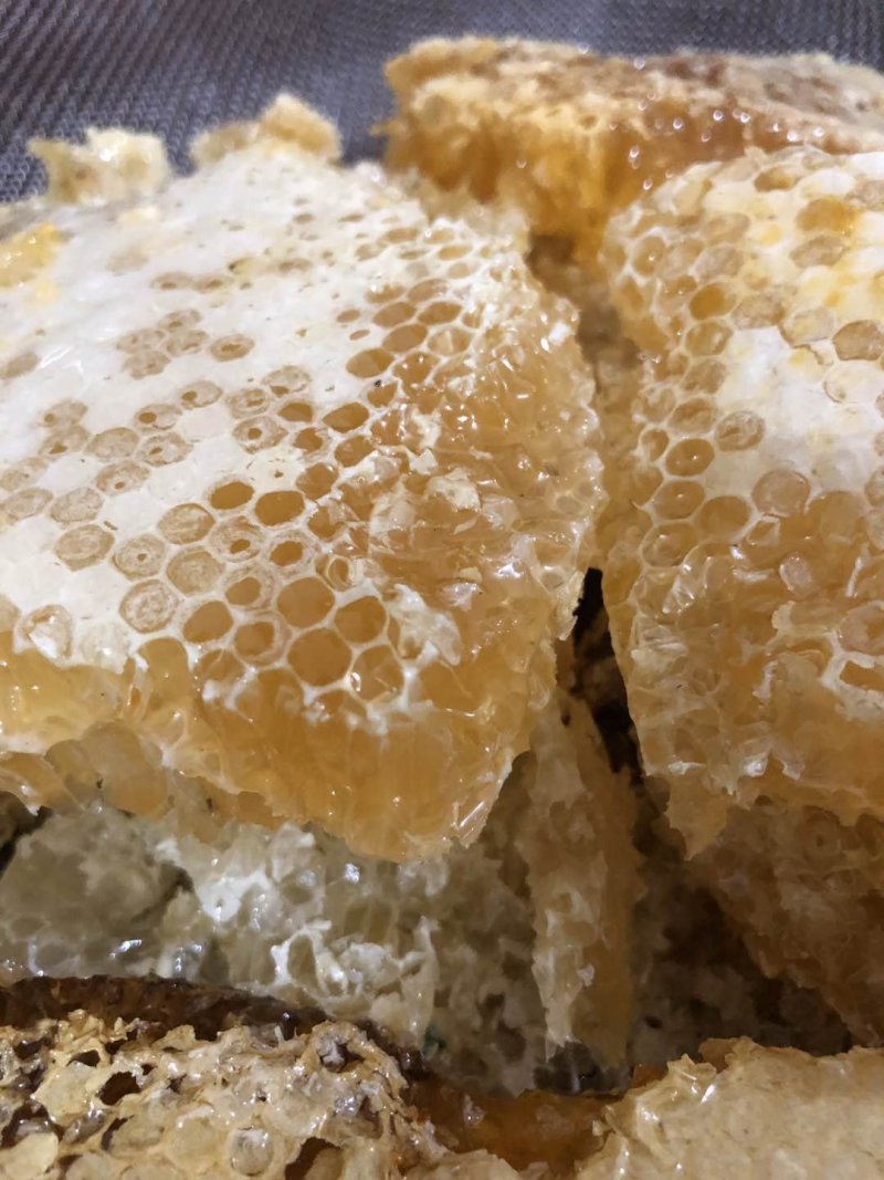 热销云南文山深山老林土蜂蜜